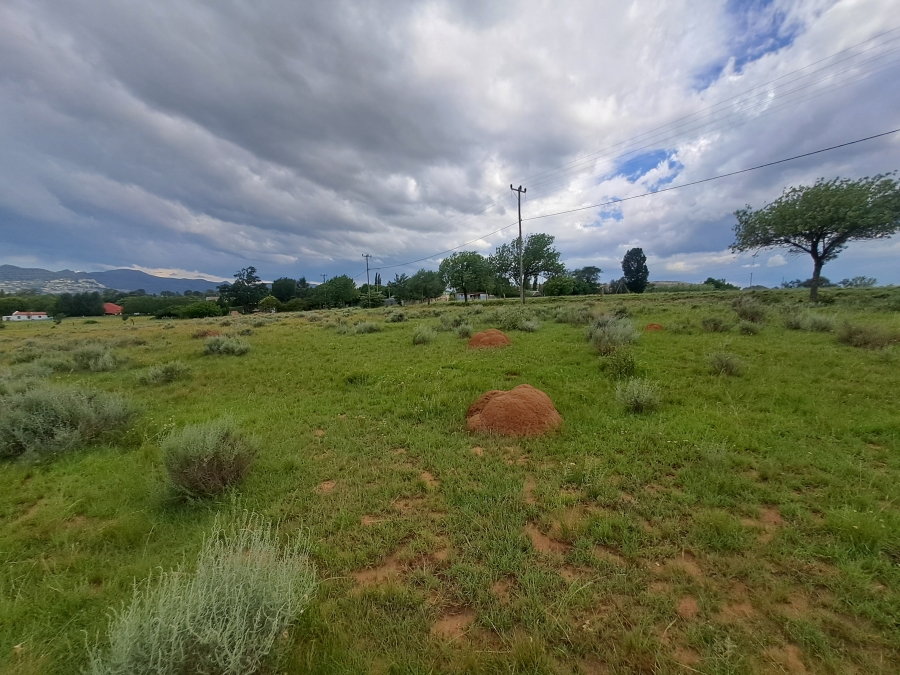 0 Bedroom Property for Sale in Rosendal Free State